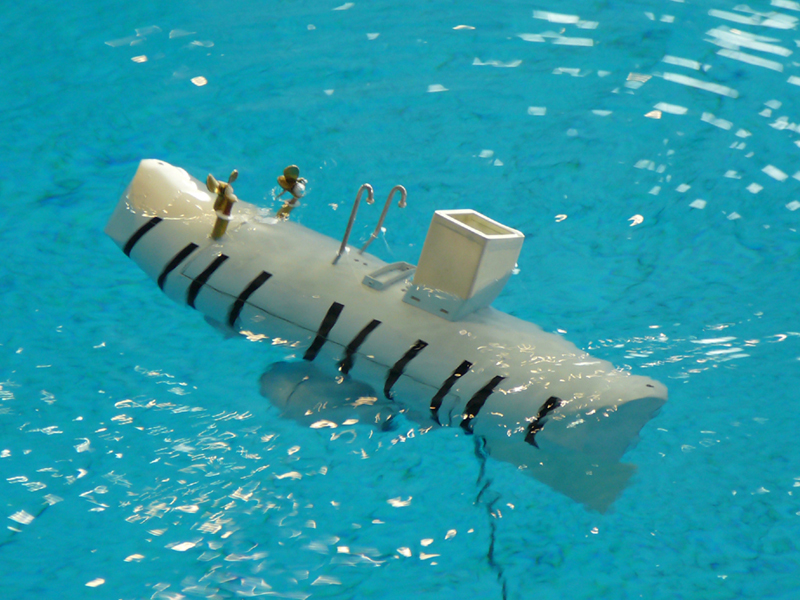 Illustration for article titled Fish, Subs, Stickmen and the USS Enterprise All Found at the Underwater Robot Convention 2007